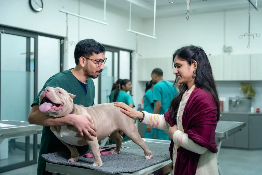 Auxiliar segurando com firmeza um cão enquanto ele é examinado